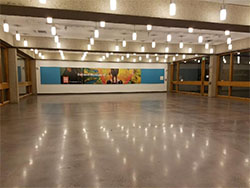 Concrete Polishing in South East Michigan | Polished Concrete, Concrete Polishing Michigan