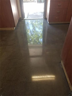 Concrete Polishing in South East Michigan | Polished Concrete, Concrete Polishing Michigan