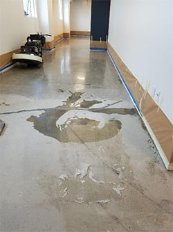 Concrete Polishing in South East Michigan | Polished Concrete, Concrete Polishing Michigan
