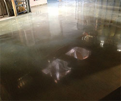 Concrete Polishing in South East Michigan | Polished Concrete, Concrete Polishing Michigan