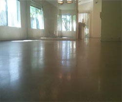 Concrete Polishing in South East Michigan | Polished Concrete, Concrete Polishing Michigan